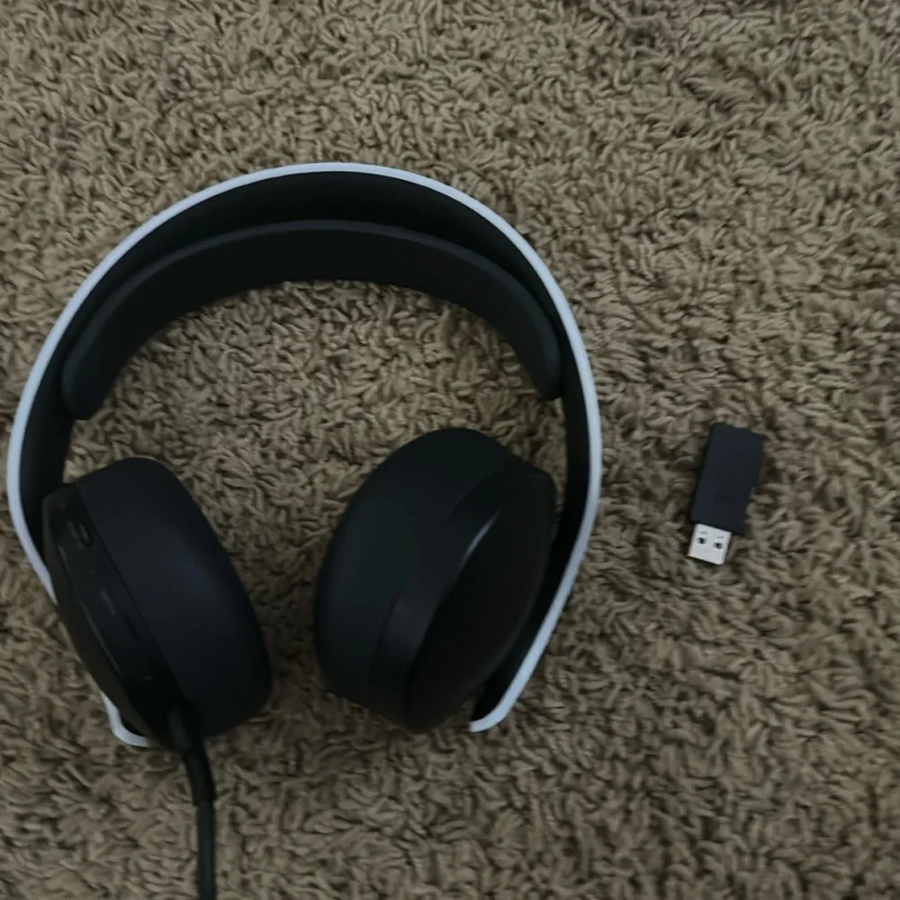 They are wireless/noise canceling headphones from PlayStation